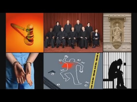 Humans Are Tax Farms & Slaves to Our Governments? Government & Laws Video