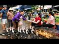 Harvesting Many Geese To Sell At The Village Market - Buying Baby Geese To Raise | Hanna Daily Life DEFAULT Thumbnail