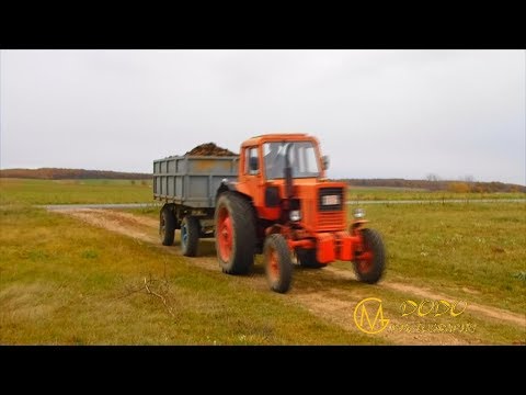 férgek petéi trágyáig miért álmodnak a férgek az én mben
