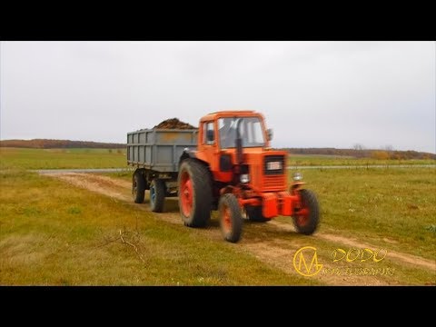 Hogyan lehet vermacart venni a férgektől, Milyen gyógyszerek az összes férgek számára?