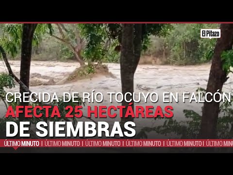 Lluvias afectaron 25 hectáreas de siembras en Falcón