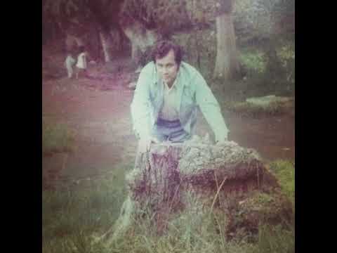 Violetas imperiales | COVER