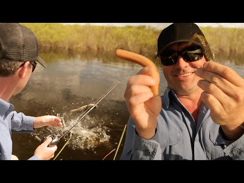 GROSSE SURPRISE EN PÊCHANT À LA SAUCISSE - Cyril Chauquet