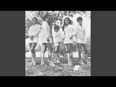 Bye Bye Bye - Female Species