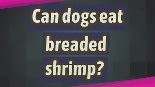 Can dogs eat breaded shrimp