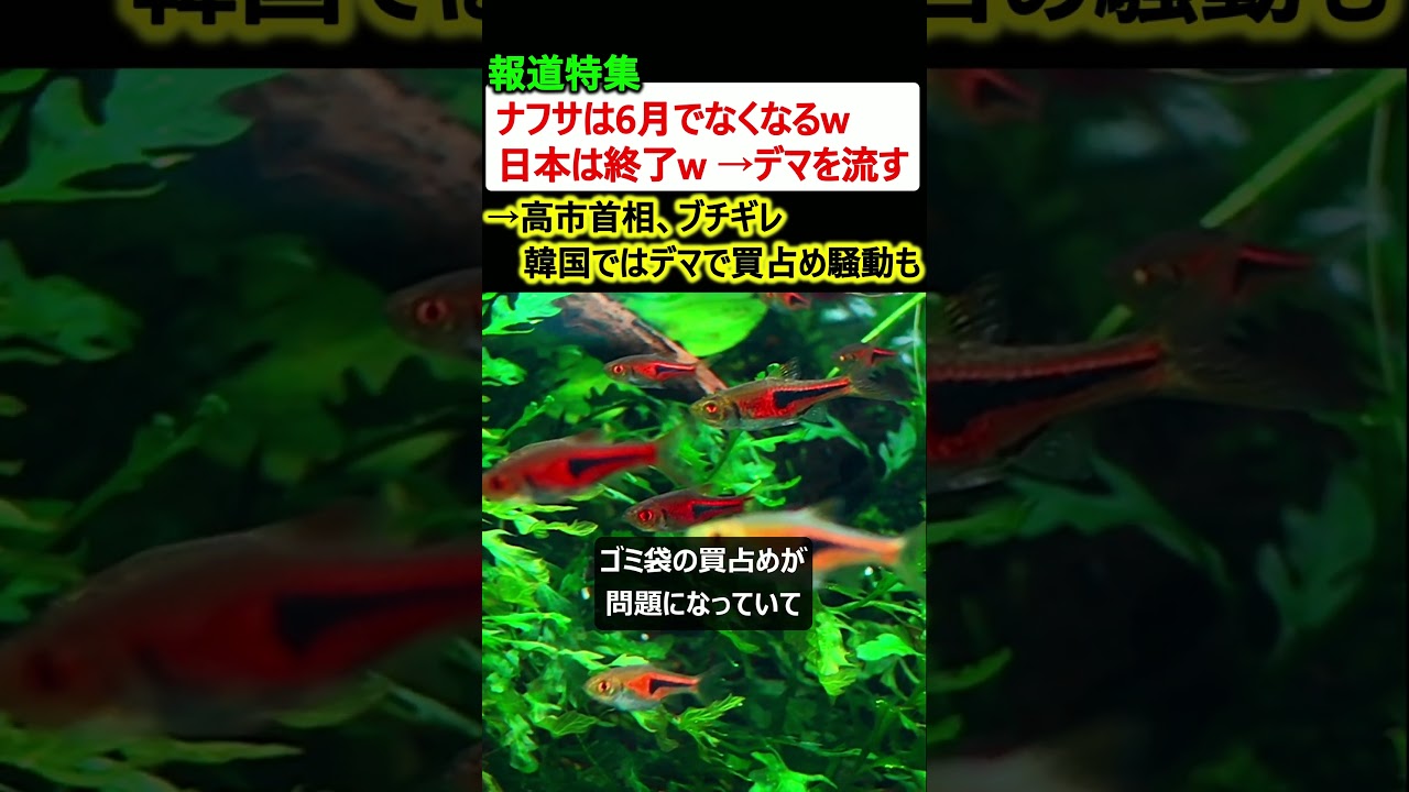 報道特集「ナフサは6月でなくなる、日本は詰みw」→デマを流して高市首相ブチギレ「嘘やめな?」