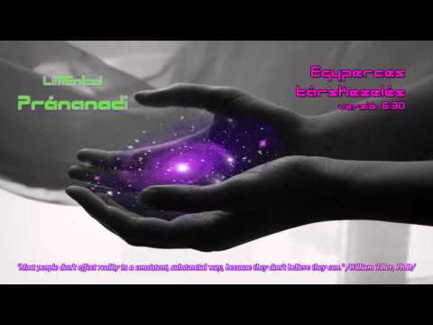 LiMEntal Pránanadi - Egyperces társkezelés v6.30