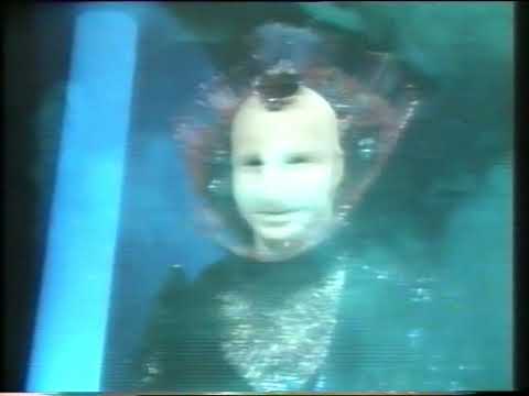 Thumbnail for Aliens in the Family (1987) by R.E.M.