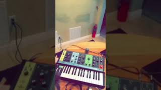 Video thumbnail for Sampling my Moog Grandmother into my Casio SK-1 by Leopard Tuesday