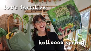 PLANT CHORES | Fertilizing for the first time this spring and other plant updates