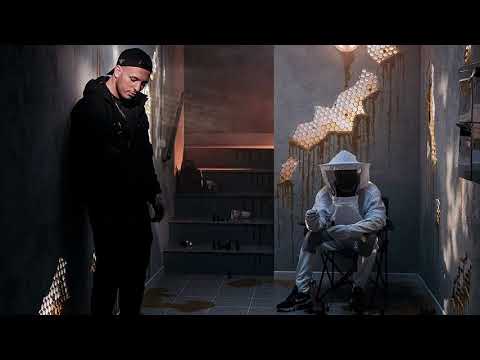 Hornet La Frappe - Calumet