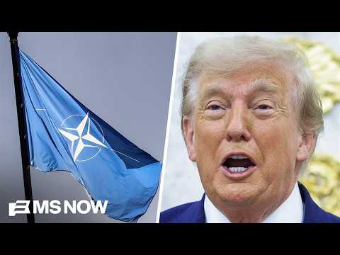 'Infuriated Trump': Why reporter says U.S. relationship with NATO is 'back in crisis mode'