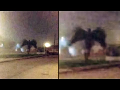 Weird And Unbelievable Things Are Happening Around The World