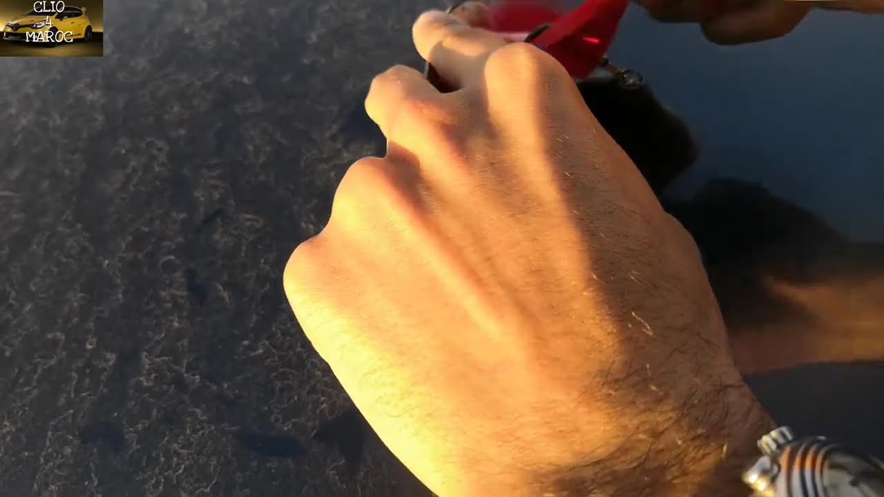 Montage d'antenne SHARK Sur CLIO 4