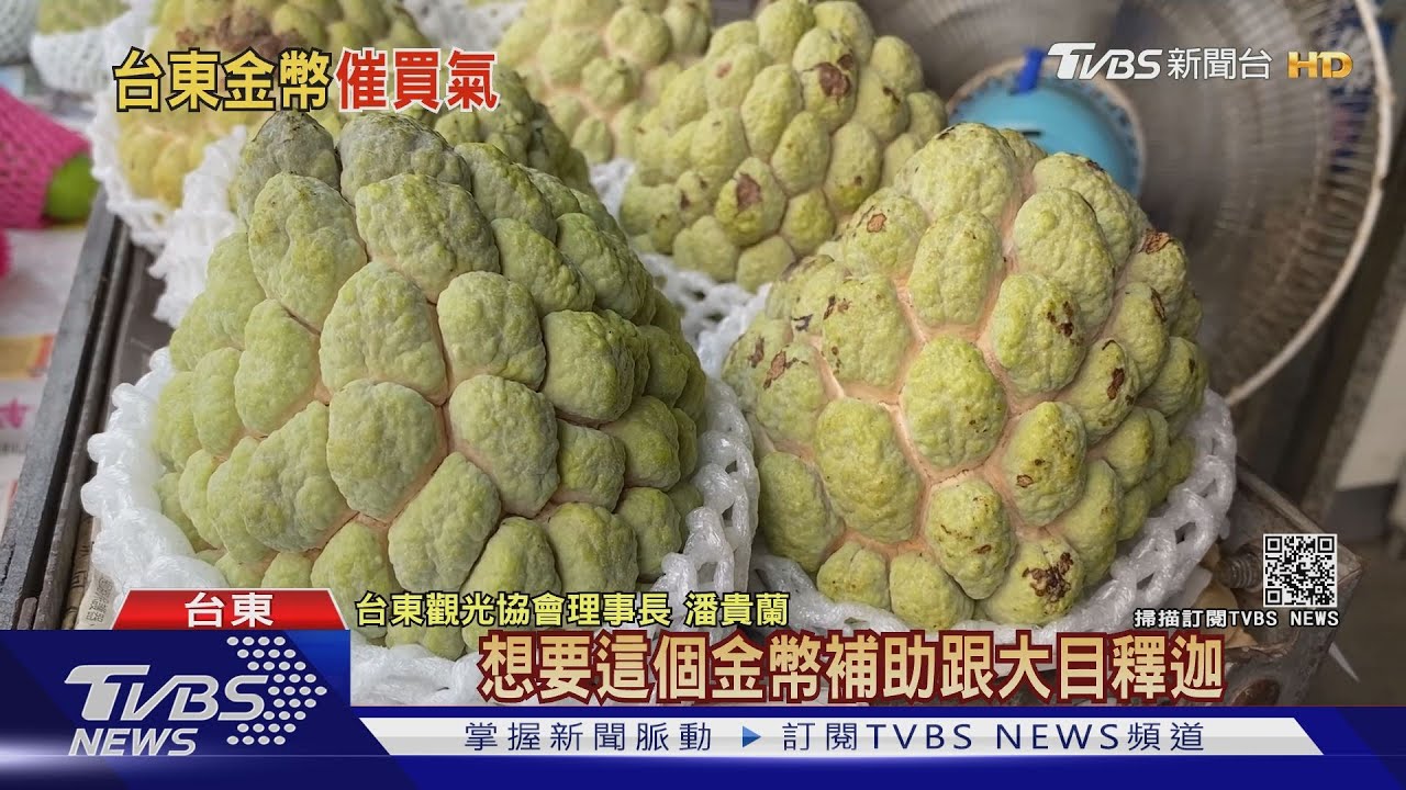 刺激消費!盼遊客來台東玩 預定住宿可獲「金幣+釋迦」