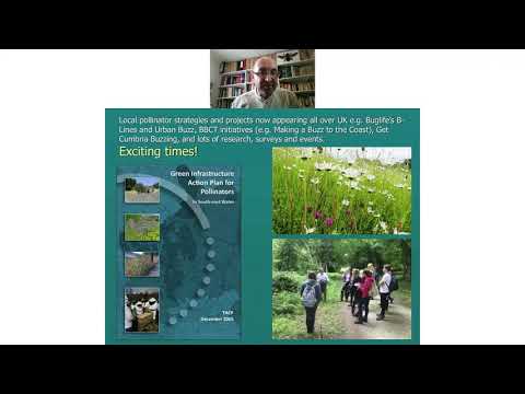 The Importance of Pollinators – A talk by Steven Falk