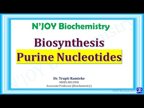 1: Purine Nucleotides: De novo synthesis | Nucleotide Metabolism | Biochemistry | @NJOYBiochemistry
