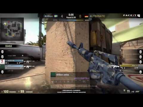 CS:GO VODS | AliGon vs ALTERNATE - DREAMHACK SUMMER - Qualifiers Semi Final - 2014