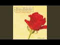The Single Petal Of A Rose (Live)