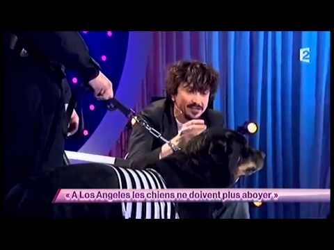 Arnaud Tsamere [43] A Los Angeles les chiens ne doivent plus aboyer - ONDAR