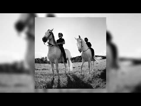 Mushkaa - LOEWE (Instrumental / clean separated audio)