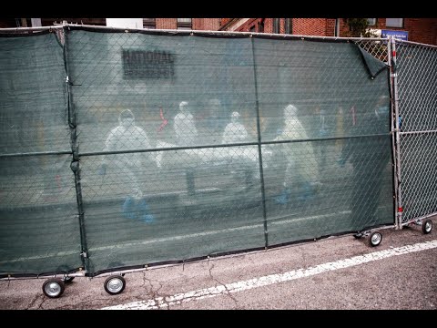 Looking back at Mar. 11, 2020 when COVID-19 was declared a pandemic