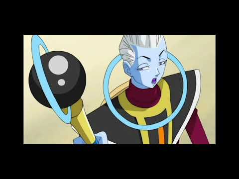 Whis funny moments