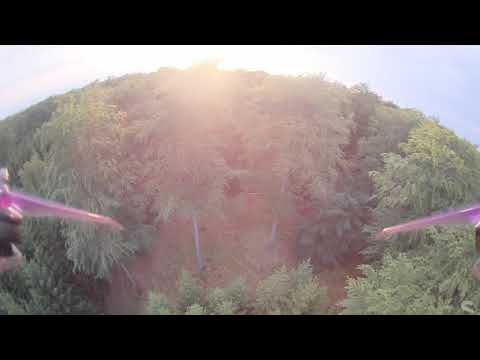 sNi-FPV - Flight of the day - Woods Video