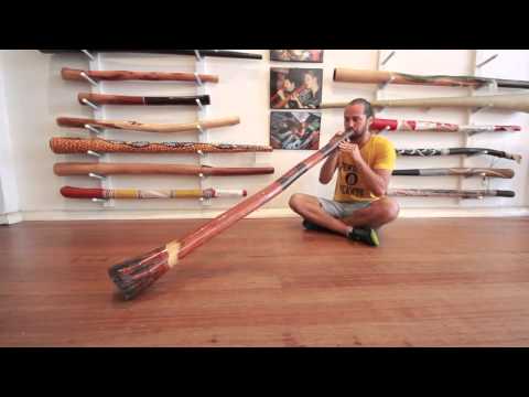 Jesse Lethbridge Didge Key of D (#2544) at Didgeridoo Breath