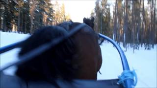 Ein vanleg dag - på Vallers-vis!