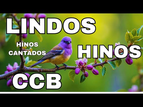 LINDOS HINOS CCB CANTADOS 12/12/2025 - CCB 23,45,31,36,60,59,15,38,22,16,25,35,44,51,55,18,14,37,20.