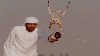 غريب ال مخلص عزيز نفس آكابر شوي وآطيح
