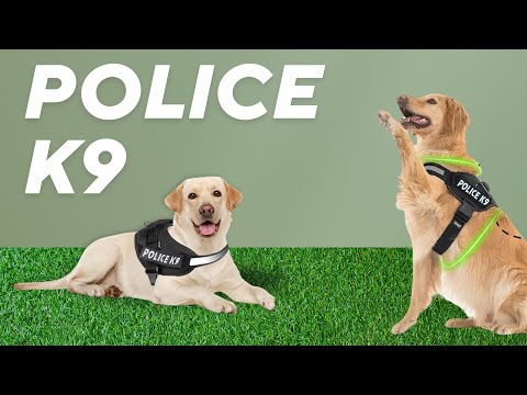 Buraq Dog Harness Police K9 No Pull Dog Belt Reflective Dog