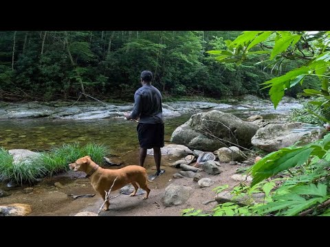 36 Hours Solo // Camp, Catch, & Cook // Joy Chasers Ep. 2