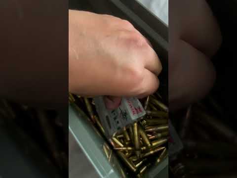 +200rds Winchester .223