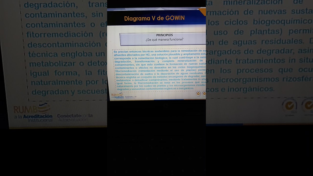 Contaminación de suelos y agua HC Fitorremediacion