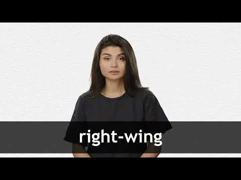 RIGHT-WING definition and meaning