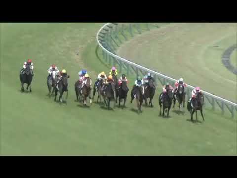 2020.06.07 Yasuda Kinen (JPN) -Gran Alegria