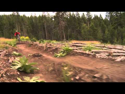 GRAHAM AGASSIZ & THE STINKY DELUXE