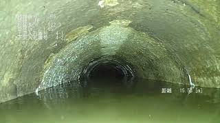 ①インセップ自己位置推定による距離追加動画（クリービュー、フロート）