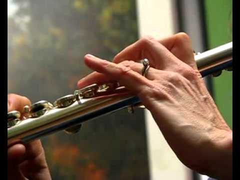 Yamaha 481 Used Flute - Solid Silver, Open-Hole w/ B Foot