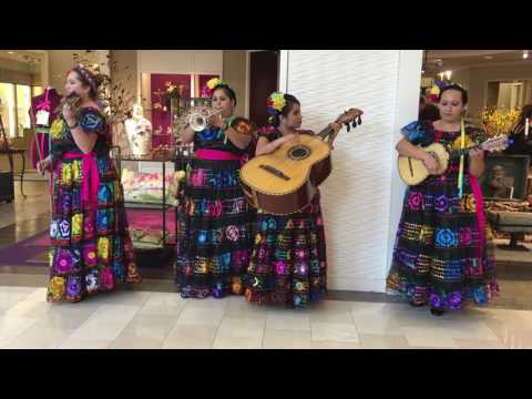 Mariachi Flor de Jalisco - La Bikina