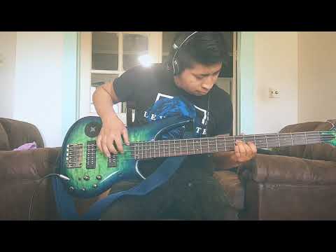 Vivo Danzando - Bass Cover