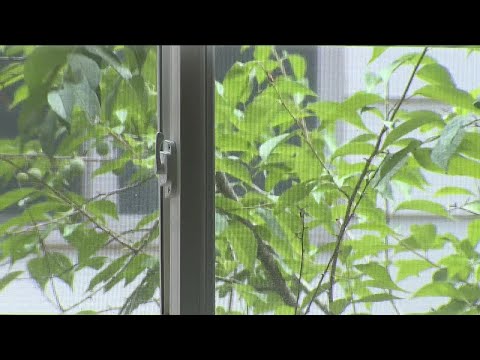 Elderly people at greater risk for health complications in brutal heat