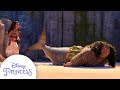 Moana Maui S Wild Ocean Encounters Moana Disney Princess