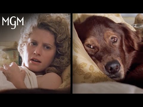 Thumbnail of the video: Fluke (1995) | Heart Touching Moments "Memories of Another Life" Scene | MGM Studios