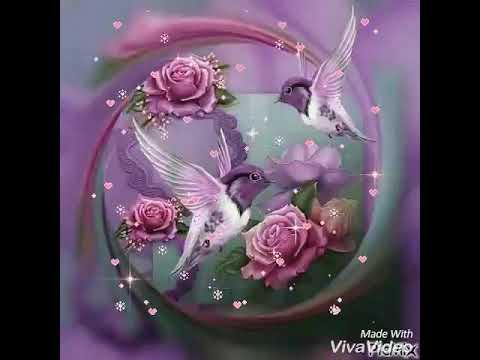 ලතා  වල්  පොල  මාහත්මියට    ගරැ  කිරිමක්  වසෙන්  මෙි  ගිතය