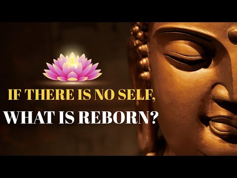 If There Is No Self, What Is Reborn? Rebirth and Impermanence Explained