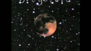 Drugstore &quot;Nectarine&quot;