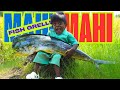 Mahi Mahi Fish Grill Cooking Kutti Puli Kutti Puli Cooking Mahi Mahi Fish Grill Curry